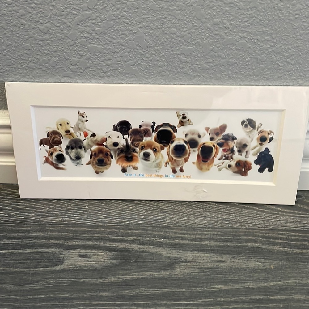 Vintage in package, to be framed dog print